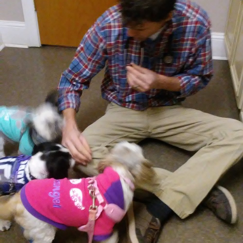 Coventry Animal Hospital - Dr Lester gets on the floor to meet his brand new patients! Brady, Boo Boo and Kaia-Rose - Veterinarians Near Me - Coventry, Rhode Island