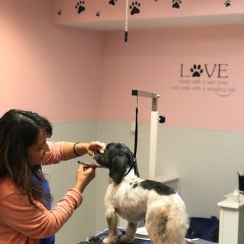 Grooming by Karen - Certified Master Groomer with 30 years experience offering full service styling in a quiet and safe environment. By appointment only. - Pet Groomers Near Me - Coopersburg, Pennsylvania Grooming by Karen - Certified Master Groomer with 30 years experience offering full service styling in a quiet and safe environment. By appointment only. - Pet Groomers Near Me - Coopersburg, Pennsylvania