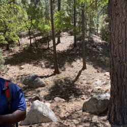 Hualapai Mountains - Getting ready for lunch