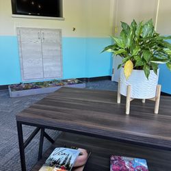 Wellness Dental