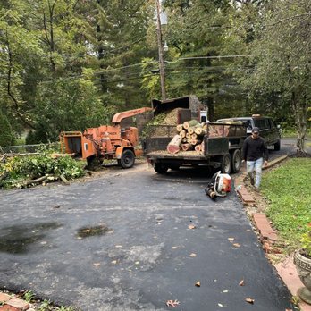 J&M Tree Services - a man working on a tree - Tree Services Near Me
