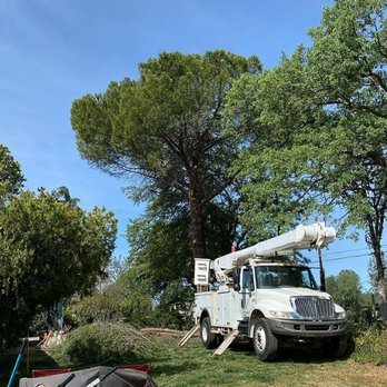 Lassen Valley Tree Service - Locally owned and operated. Serving Redding and surrounding areas. Give us a call today to discuss your project. 530-710-2010 - Tree Services Near Me - Redding, California Lassen Valley Tree Service - Locally owned and operated. Serving Redding and surrounding areas. Give us a call today to discuss your project. 530-710-2010 - Tree Services Near Me - Redding, California