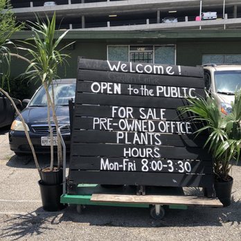 Re-Leaf Plant Market - Nurseries & Gardening Near Me - Houston, Texas