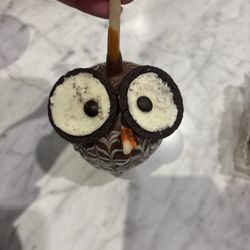 Rocky Mountain Chocolate Factory Café - Owl Caramel Apple