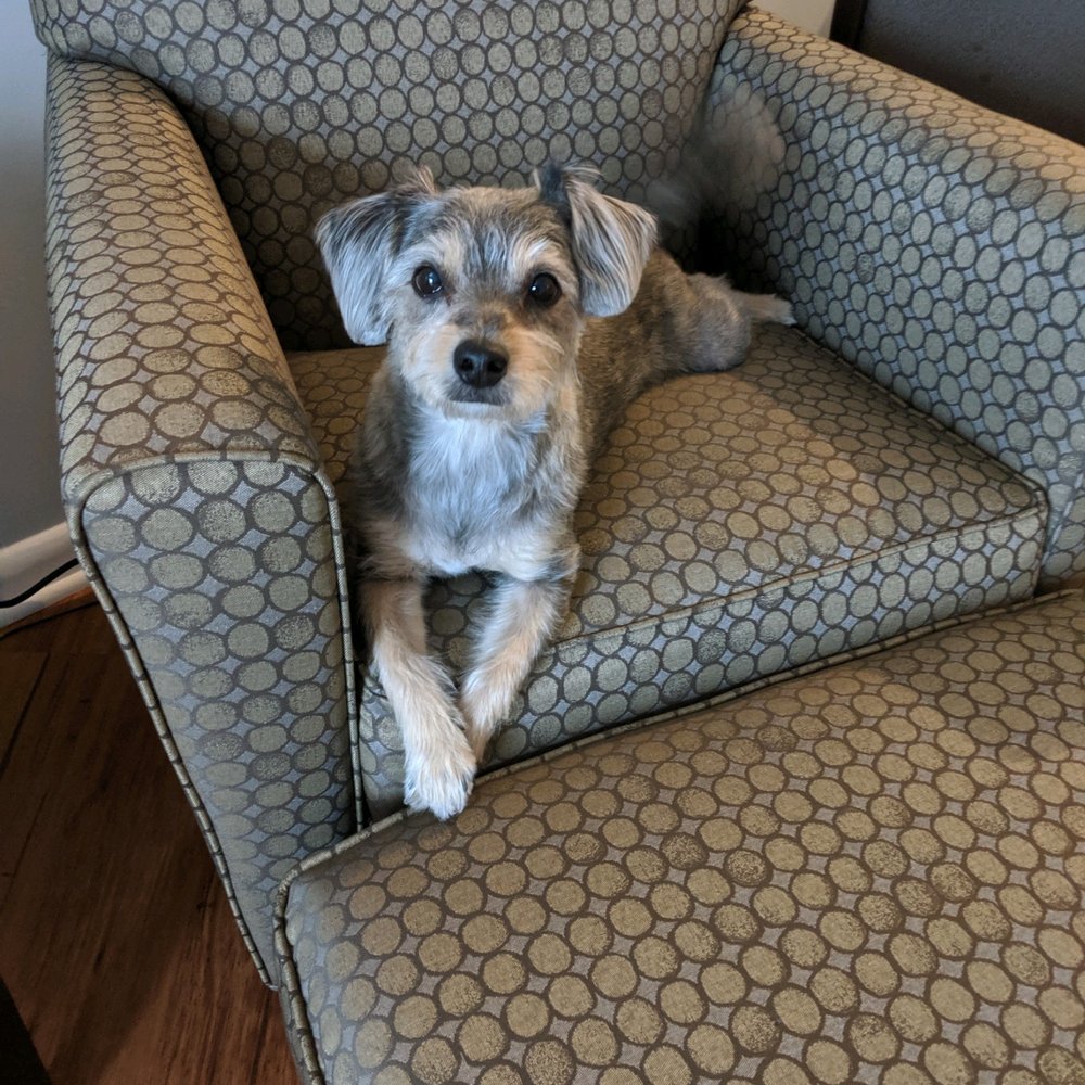 Engleside Inn - Luka claiming his throne - Hotels Near Me - Beach Haven, New Jersey Engleside Inn - Luka claiming his throne - Hotels Near Me - Beach Haven, New Jersey