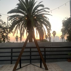 City LIbre - Ceremony view