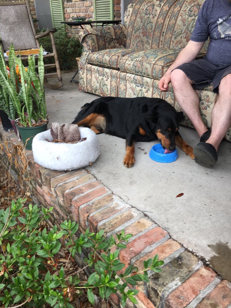 PENSACOLA HUMANE SOCIETY 14 Reviews 5 N Q St, Pensacola, FL Yelp