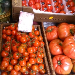 Gold Gourmet - Tomate rosa
