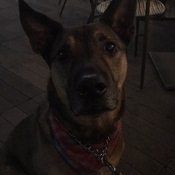 Seaside Market - Dog friendly outdoor seating - Grocery Near Me - Cardiff, California Seaside Market - Dog friendly outdoor seating - Grocery Near Me - Cardiff, California