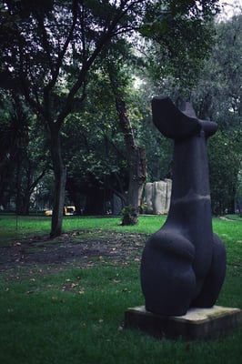 Museo de Arte Moderno by null