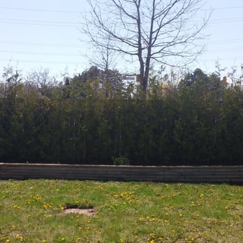 The Cedar Guys - Backyard after - Landscaping Near Me - Newmarket, Ontario The Cedar Guys - Backyard after - Landscaping Near Me - Newmarket, Ontario