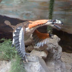 Prehistoric Journey