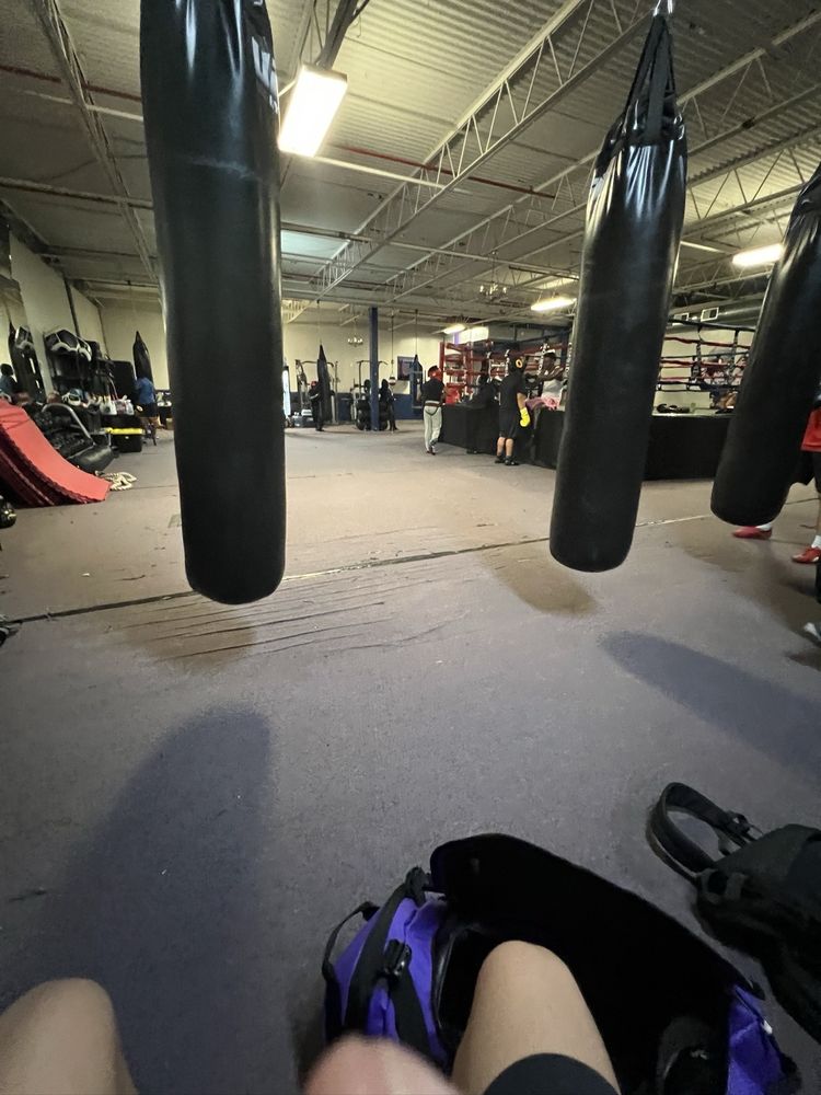 Inner City Youth and Boxing Center Logo