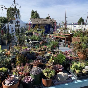 Heavenly Vintage Nursery - Nurseries & Gardening Near Me - Long Beach, California Heavenly Vintage Nursery - Nurseries & Gardening Near Me - Long Beach, California