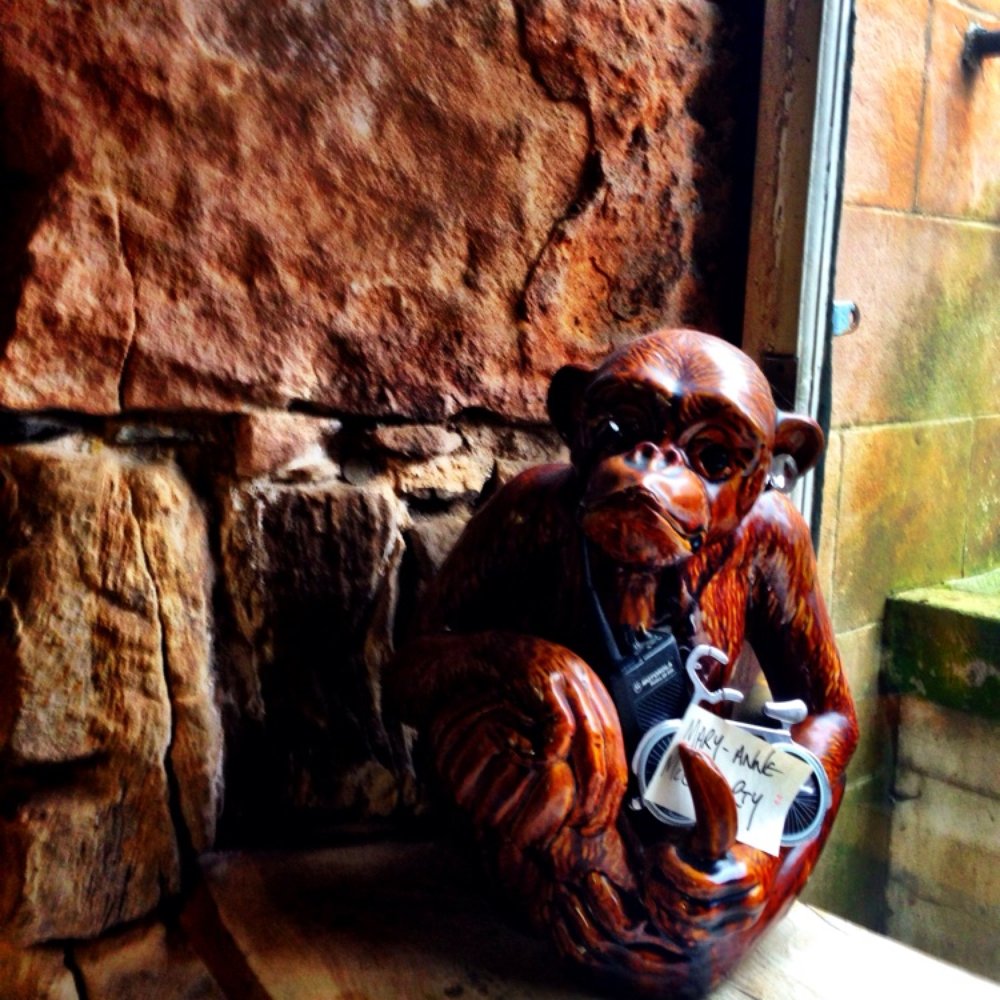 Where The Monkey Sleeps - Coffee & Tea Near Me - Glasgow, GLG Where The Monkey Sleeps - Coffee & Tea Near Me - Glasgow, GLG