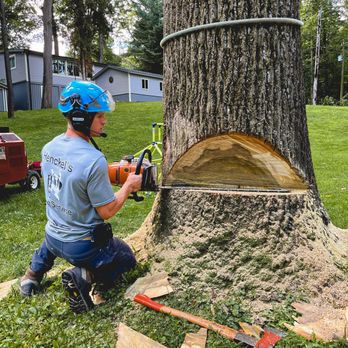 Henckel’s Tree Service - Tree Services Near Me
