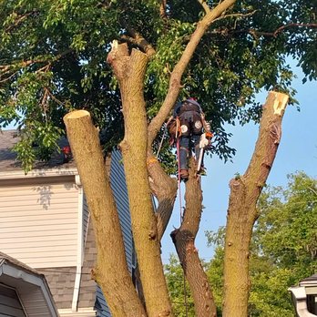 Smiths Tree Slayers - Tree Services Near Me Smiths Tree Slayers - Tree Services Near Me
