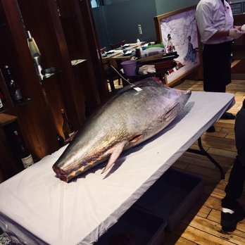 Dongwon Sushi & Tuna - Sushi Bars Near Me - Flushing, New York Dongwon Sushi & Tuna - Sushi Bars Near Me - Flushing, New York