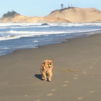 Inn at Cape Kiwanda - Pacific City is uber dog friendly - Hotels Near Me - Pacific City, Oregon Inn at Cape Kiwanda - Pacific City is uber dog friendly - Hotels Near Me - Pacific City, Oregon