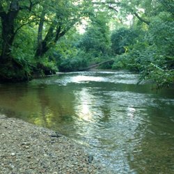 Lloyd Park