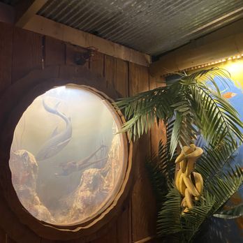 Brucemore - A circular aquarium with a mermaid figure and rocks inside is mounted on a wooden wall. The aquarium is illuminated from behind, creating a soft glow. To the right, there are tropical plants with large green leaves and a bunch of bananas hanging from one of the plants. The ceiling above is made of corrugated metal, and part of a wooden beam is visible at the top of the image. - Museums Near Me - Cedar Rapids, Iowa