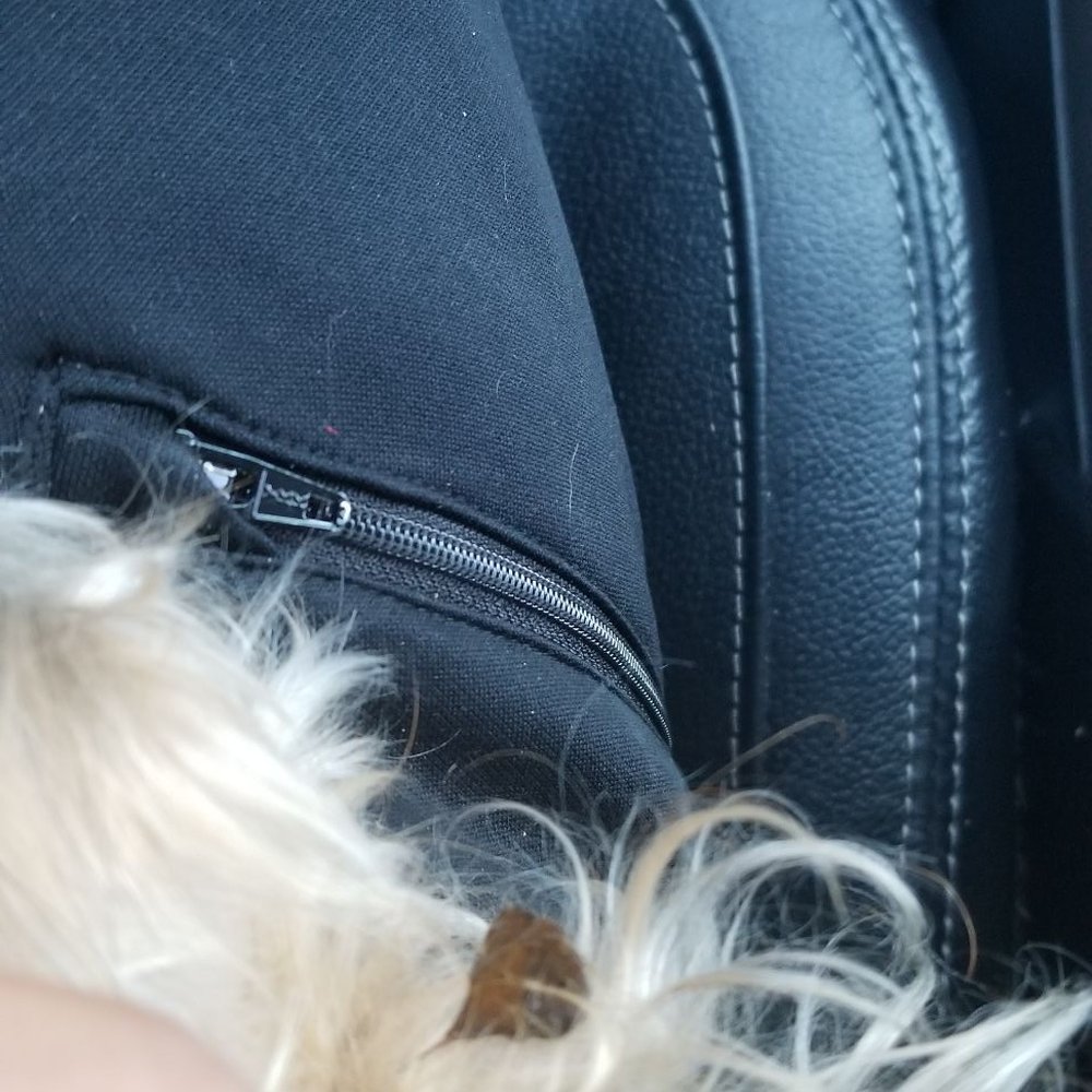 Stacys Dog Grooming - Pet Groomers Near Me - Shorewood, Illinois