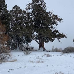 The snow on the trees is sooo pretty. The wind blows side to side and the snow catches on trees and branches!! The snow on the trees is sooo pretty. The wind blows side to side and the snow catches on trees and branches!!