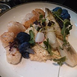 Maddox - Scallops