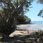 Photo of Baddeleys Beach