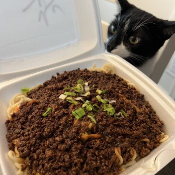 Golden Dumpling House - Zhajiang Noodles with a side of cat - Chinese Near Me - Houston, Texas Golden Dumpling House - Zhajiang Noodles with a side of cat - Chinese Near Me - Houston, Texas