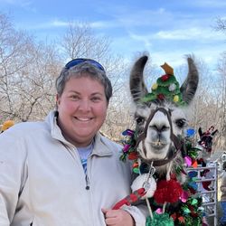Prairie Patch Farm - Christmas Llama