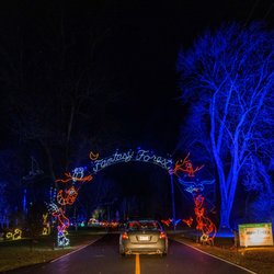 Lights on the Lake