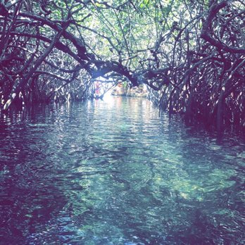 Xel-Há - Beginning of tubing - Amusement Parks Near Me - Tulum, ROO