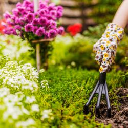 Stay ahead each season with practical gardening tips from the pros.