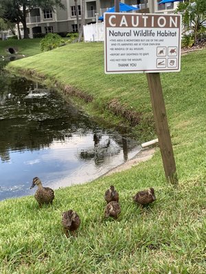 Summer Bay Orlando By Exploria Resorts by null