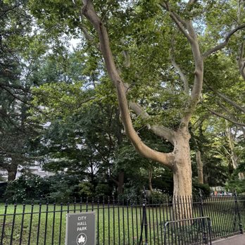 City Hall Park - City Hall Park - Parks Near Me - New York, New York City Hall Park - City Hall Park - Parks Near Me - New York, New York