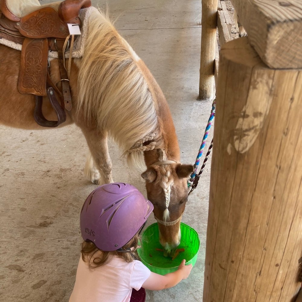 Paloma Trails - Treats! - Parks Near Me - Katy, Texas Paloma Trails - Treats! - Parks Near Me - Katy, Texas