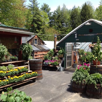 Delightful Odds & Herbs - Nurseries & Gardening Near Me - Poland, Maine