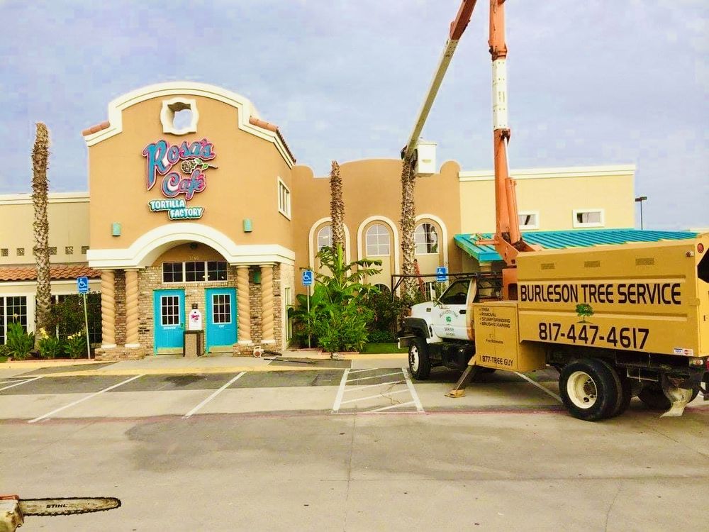 Burleson Tree Service - tree service in Alvarado, TX