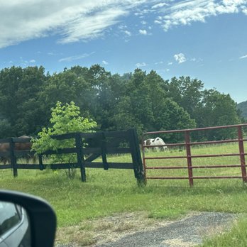 Mountain Lakes Resort - The horses !!' - Resorts Near Me - Cleveland, Georgia Mountain Lakes Resort - The horses !!' - Resorts Near Me - Cleveland, Georgia
