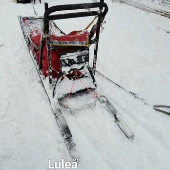 Bottnia Sleddog Adventure - Sled - Professional Services Near Me - Luleå, BD