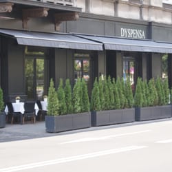 Dyspensa