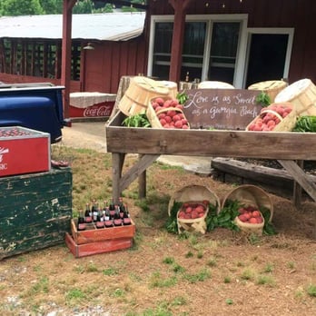 Mountain Laurel Farm - Our southern fairytale wedding on 6.4.16 at Mountain Laurel Farm! - Bed & Breakfast Near Me - Cleveland, Georgia Mountain Laurel Farm - Our southern fairytale wedding on 6.4.16 at Mountain Laurel Farm! - Bed & Breakfast Near Me - Cleveland, Georgia
