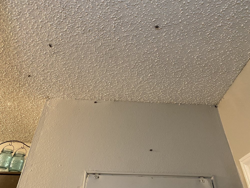 PECAN KNOLL APARTMENTS Updated August 2024 11 Reviews 1051 E