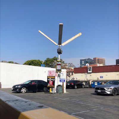 Fat Sal's Deli by null