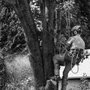 Photo of Dailey Tree Care