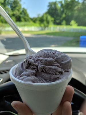 Gray's Ice Cream by null