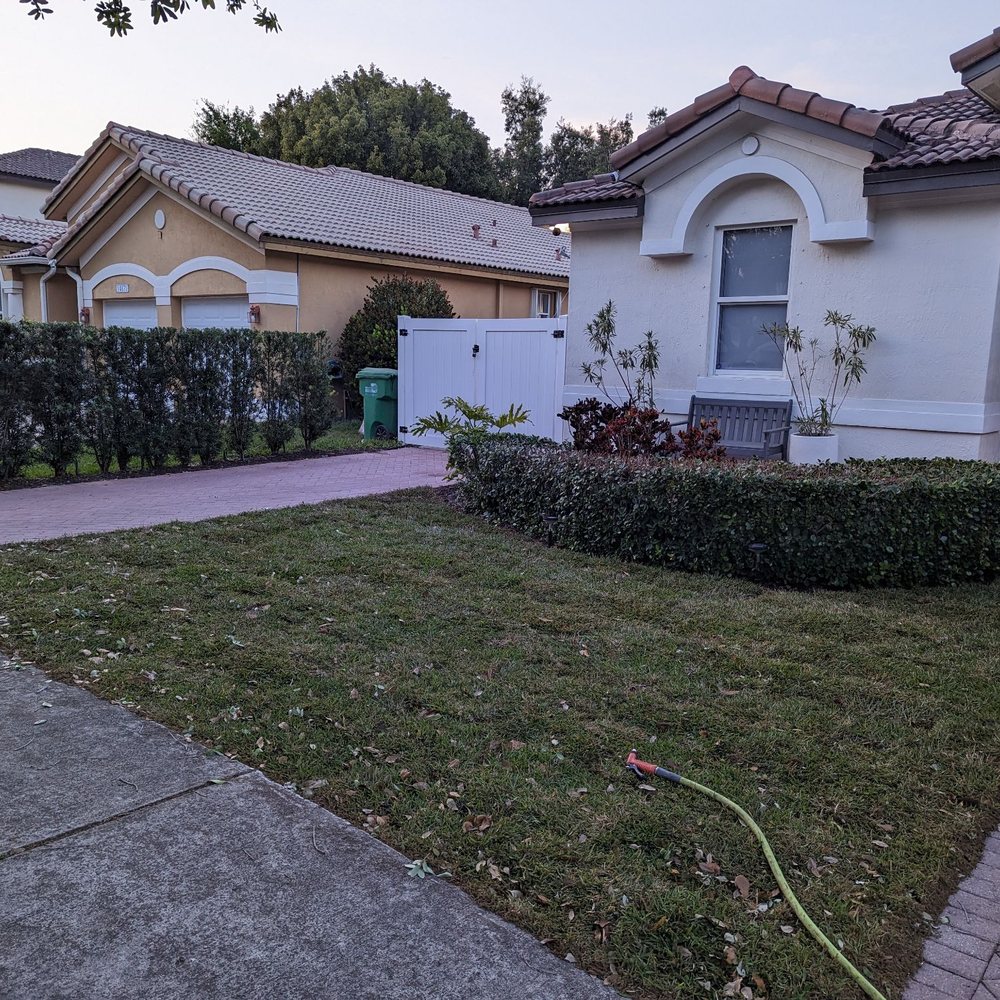 Tree Legends - Tree Services Near Me Tree Legends - Tree Services Near Me