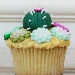 Goodness Cakes