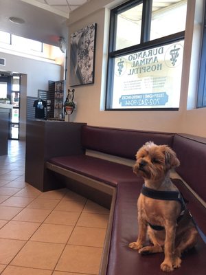 durango animal hospital hours